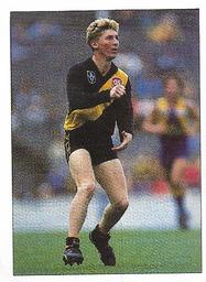 1990 Select AFL Stickers #190 Craig Lambert Front